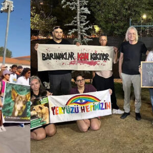 sokak kopekleri icin valilikte protesto yavasogullarindan kadikoyde destek bulxePeG