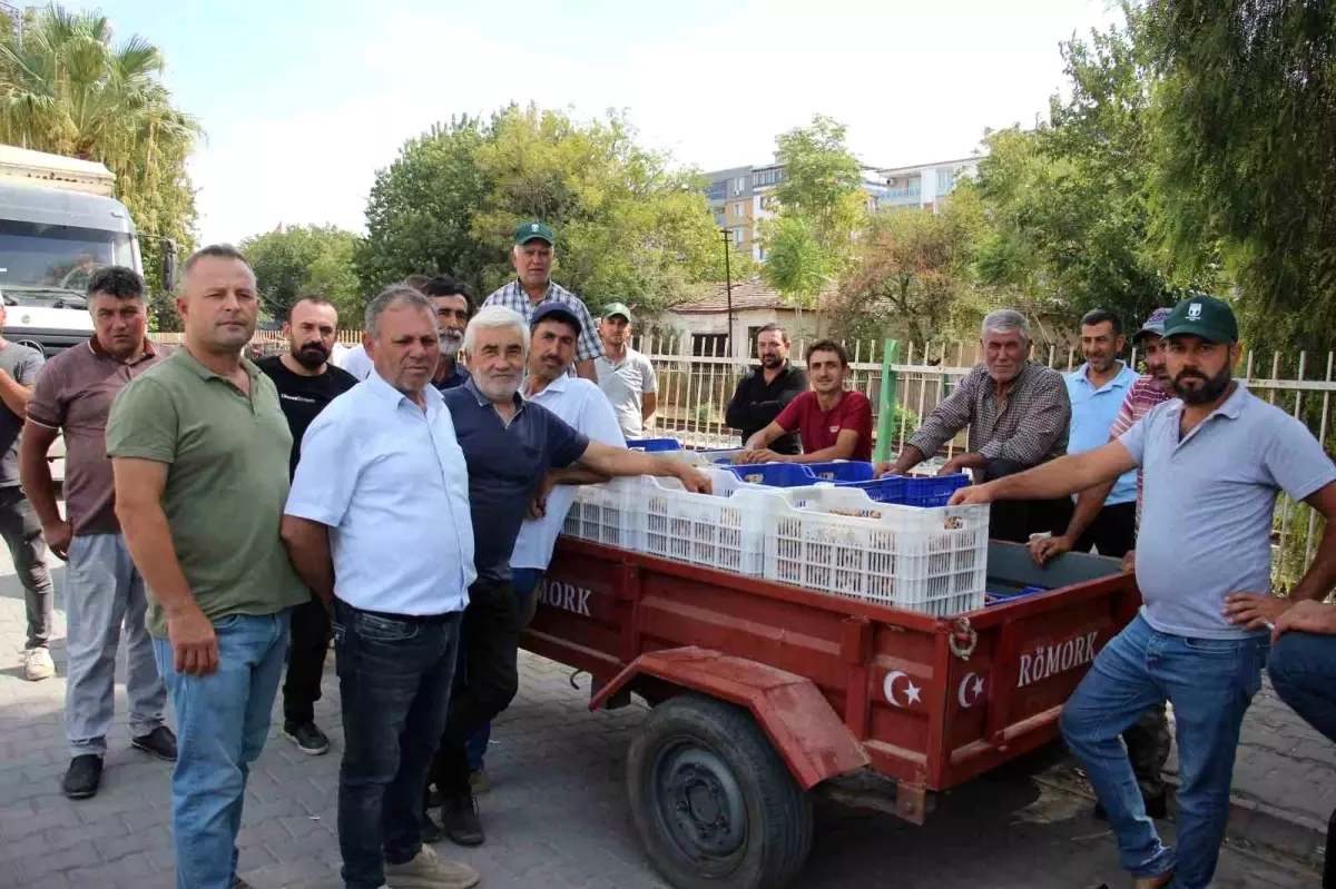 incir alimlari tuccar sorunu nedeniyle durduruldu GDGQnrr2