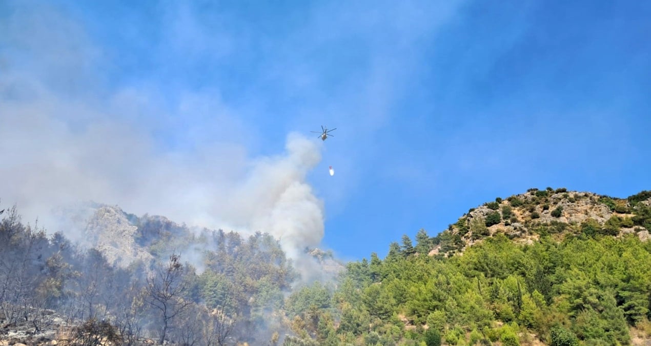 serikteki orman yangininda 1 gozalti sZvgn9hl