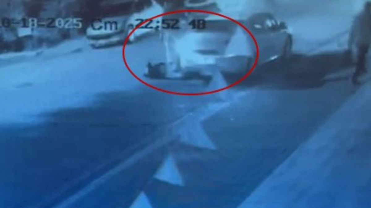 balikesirde 3 kisiyi olduren zanlinin uzman cavus kemal ekriyi vurma ani kamerada ErSgt8fF.jpg