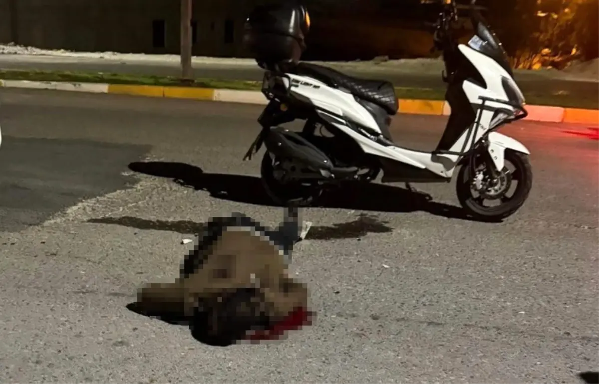 bicakli saldiri sanliurfada genc hayatini kaybetti I7XPSvt9