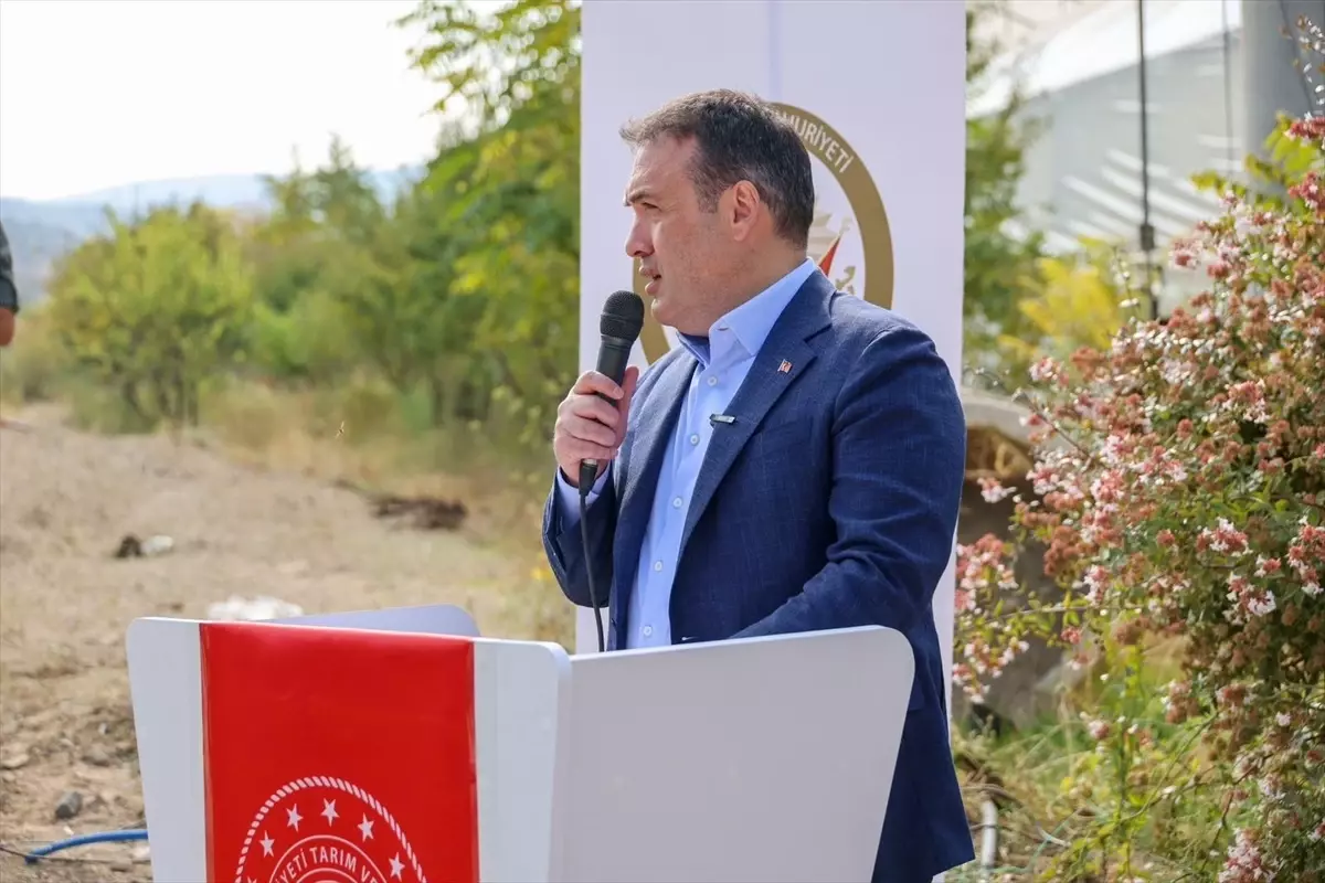 bilecikte ciftcilere marul fideleri dagitildi DHhDTaSV.jpg