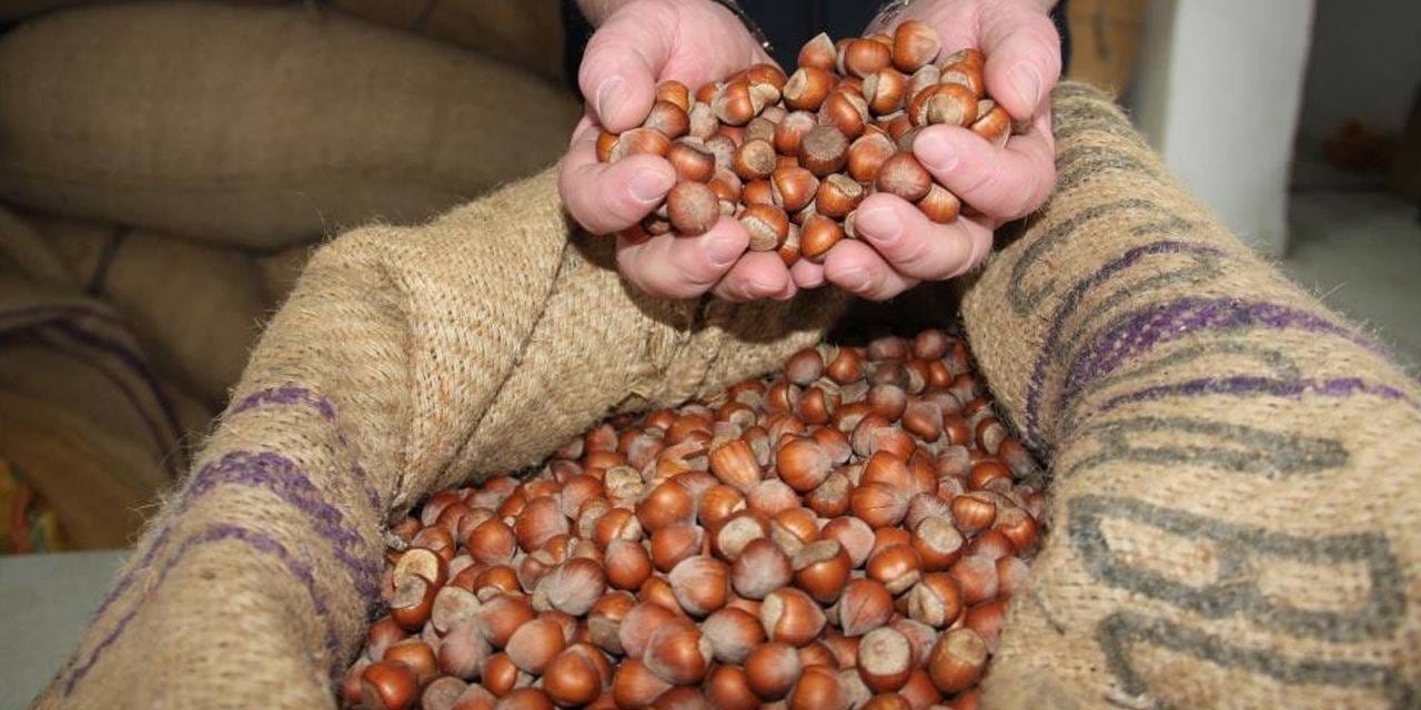 findiktan 1 milyar 610 milyon 163 bin gelir UUqdUrTl.jpg