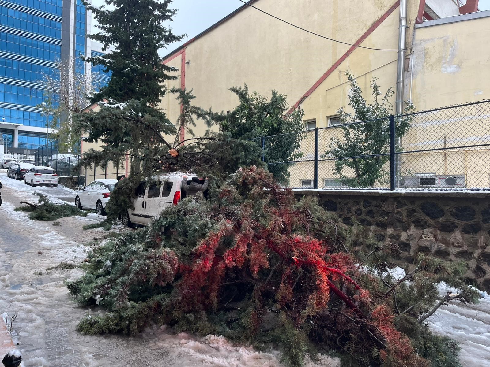 Kökünden sökülen ağaç park halindeki aracın üzerine devrildi